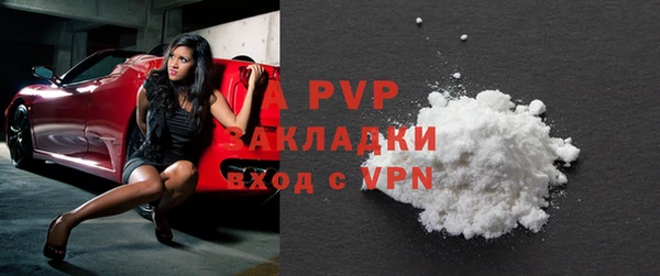 сатива Белокуриха