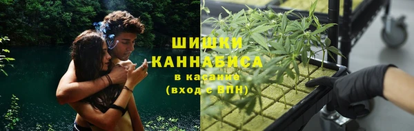 сатива Белокуриха