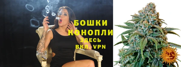шишки Беломорск