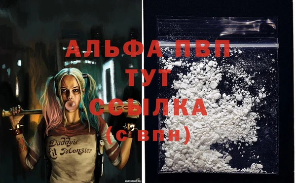 сатива Белокуриха
