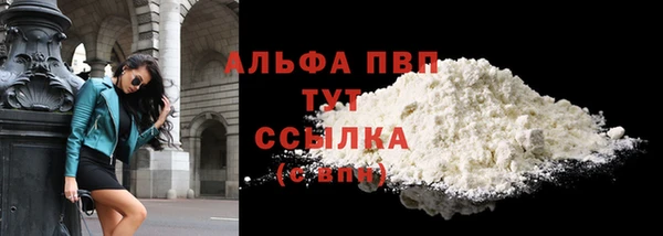 сатива Белокуриха