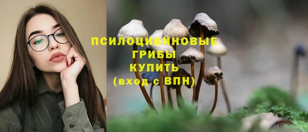 шишки Беломорск