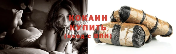 шишки Беломорск