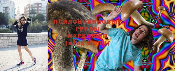 шишки Беломорск