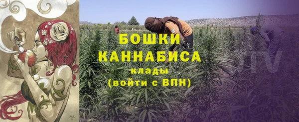 шишки Беломорск