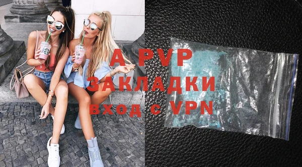 ПСИЛОЦИБИНОВЫЕ ГРИБЫ Белоозёрский