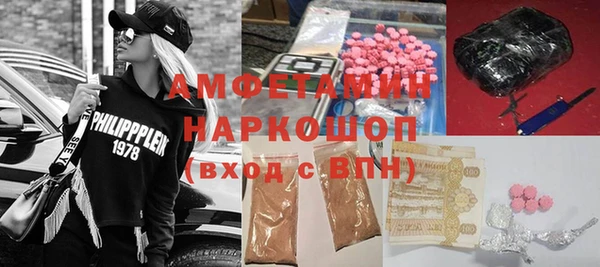 сатива Белокуриха