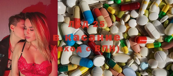 ПСИЛОЦИБИНОВЫЕ ГРИБЫ Белоозёрский