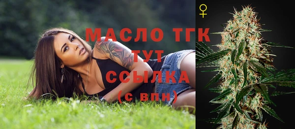 сатива Белокуриха