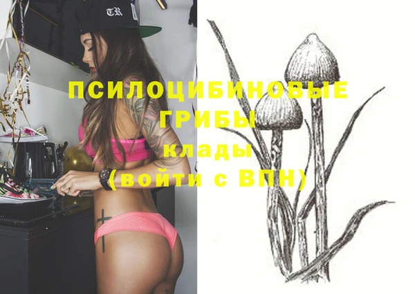 шишки Беломорск