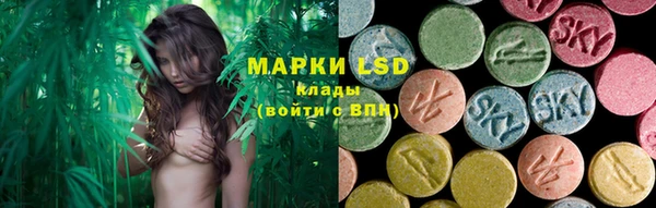 ПСИЛОЦИБИНОВЫЕ ГРИБЫ Белоозёрский