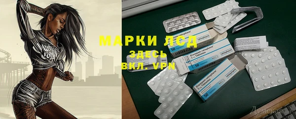 шишки Беломорск