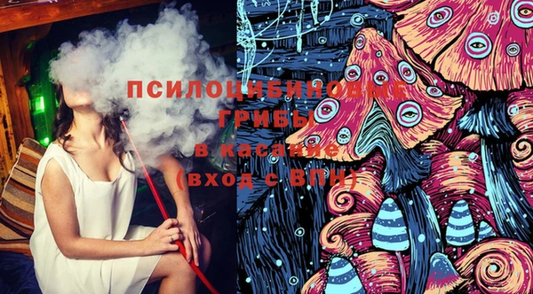 ПСИЛОЦИБИНОВЫЕ ГРИБЫ Белоозёрский