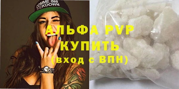 сатива Белокуриха