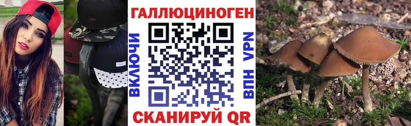 Купить  Новодвинск  Галлюциногенные грибы MAGIC MUSHROOMS 